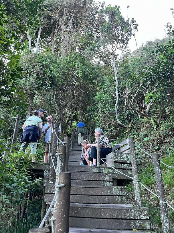 IMG-20250513-WA0028