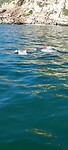 20250514_102209_resized