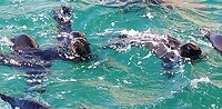 20250514_095654_resized
