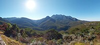 20250515_101339_resized