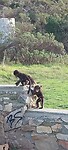 20250516_162228_resized