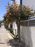 IMG_9322