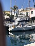 IMG_9318