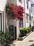 IMG_9316