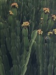 IMG_9444