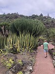 IMG_9445