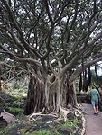 IMG_9446