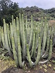 IMG_9439
