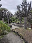 IMG_9436