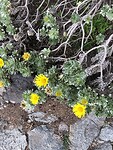 IMG_9437