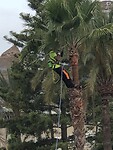 IMG_9415