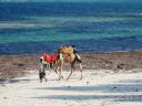 Strand in Watamu