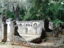 Gedi Ruines
