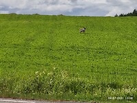 IMG_20220708_150831