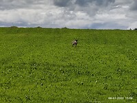 IMG_20220708_150850