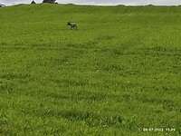 IMG_20220708_150953