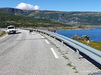 IMG_20220711_144519