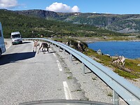 IMG_20220711_144556