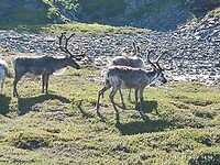 IMG_20220711_145051
