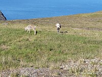 IMG_20220711_173125