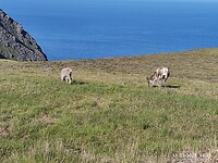 IMG_20220711_173131
