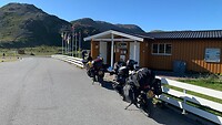 IMG-20220711-WA0006