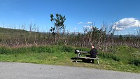 IMG-20220712-WA0011