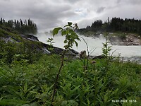 IMG_20220716_101612