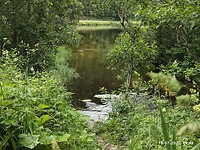 IMG_20220716_094833