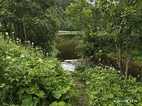 IMG_20220716_094819