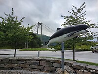 IMG_20220717_122922