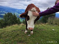IMG_20220911_115654