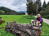 IMG_20220911_131356