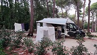 IMG_20220915_190721
