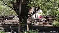IMG_20220917_161119