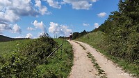 IMG_20220918_125710