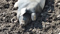 IMG_20220918_141211