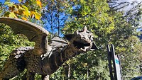 IMG_20220922_104741