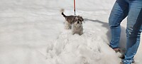 IMG_20230506_124732