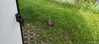 IMG_20230512_084236