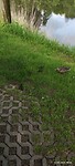 IMG_20230512_084225