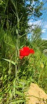 IMG_20230514_132206