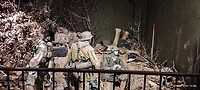 IMG_20230516_135604