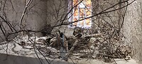 IMG_20230516_140125