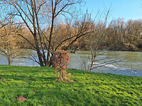 uitzicht op de rivier