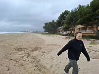 Inge in de wind