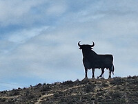 El Toro