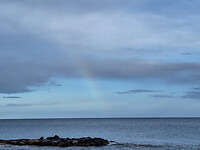 regenboog