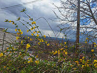 uitzicht over Granada