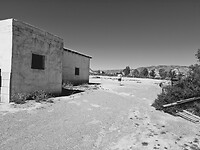 Western Leone ZW